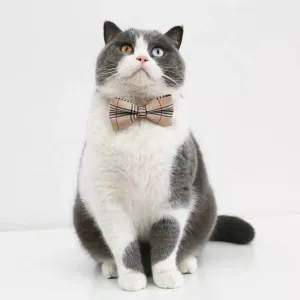 Cat Formal Bow Tie - Yellow Plaid