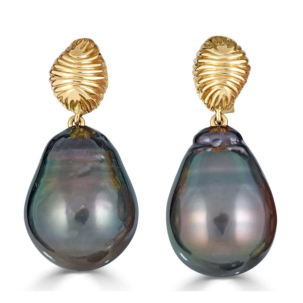 Venus Shell Earrings